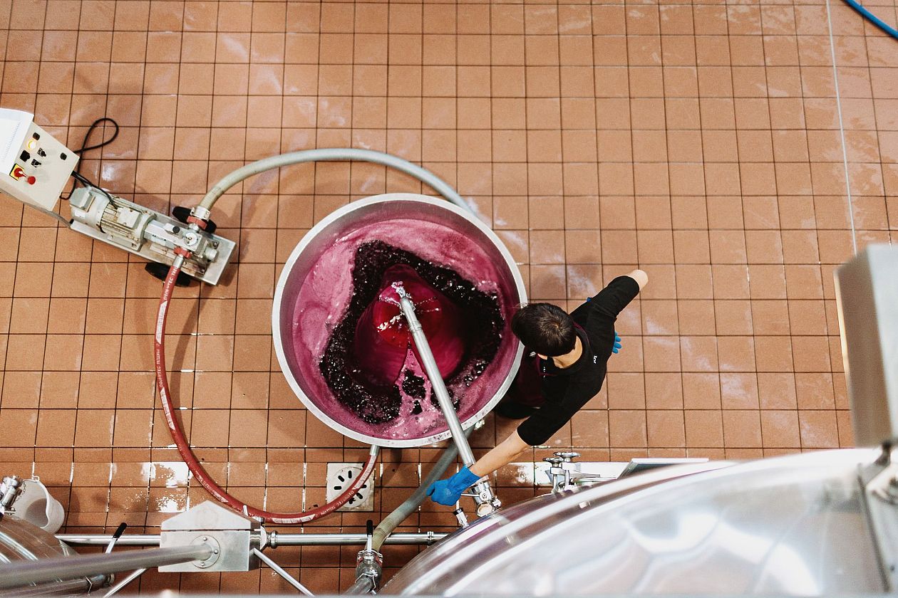 Aerial view of a woman working on the production line of wine in a winery
