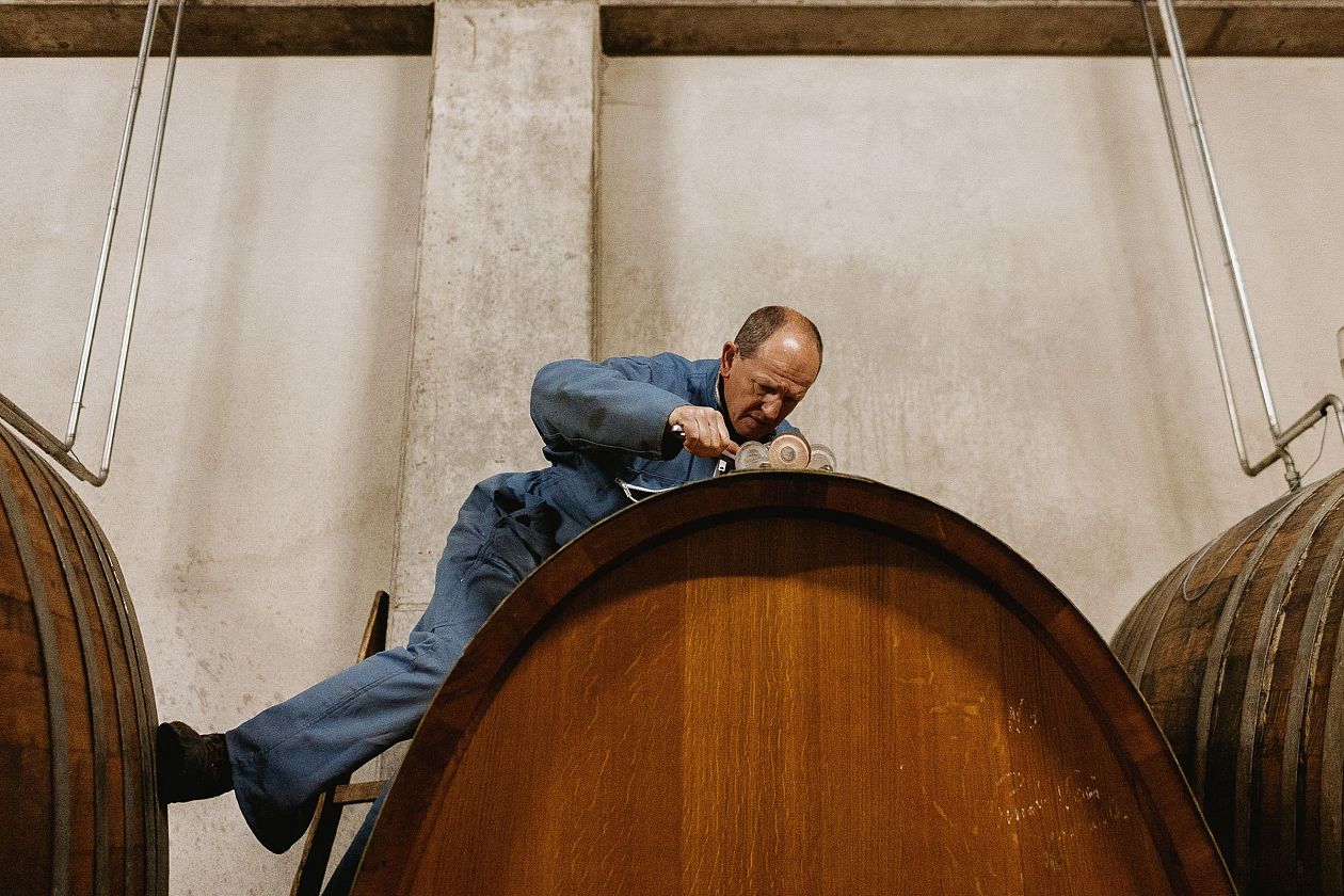 Experienced winemaker working in a winery. He is checking the quality of wine.